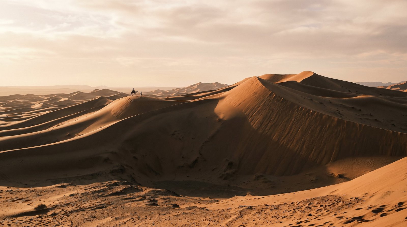 Sheer dunes of Erg Chigaga near M'Hamid rising above the desert