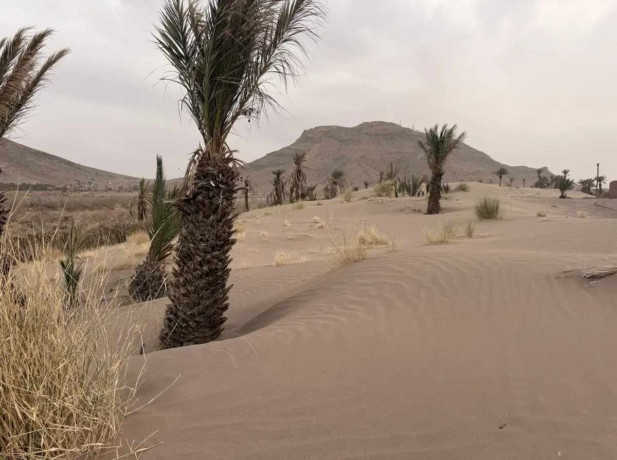 La dune de Tahtah avec une vue sur la montagne.