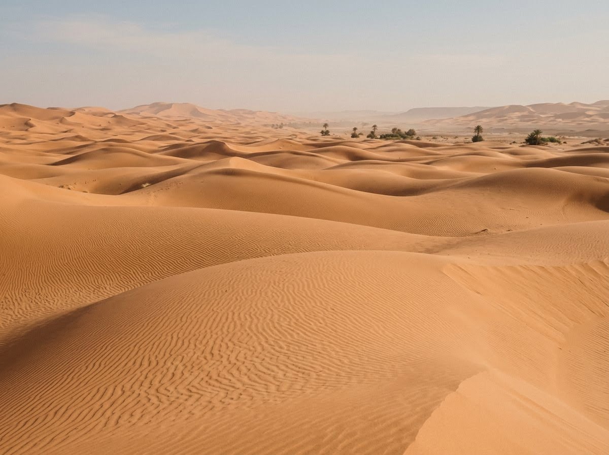 Sweeping apricot dunes of the Sahara in Morocco near Zagora